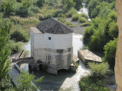 view from tower